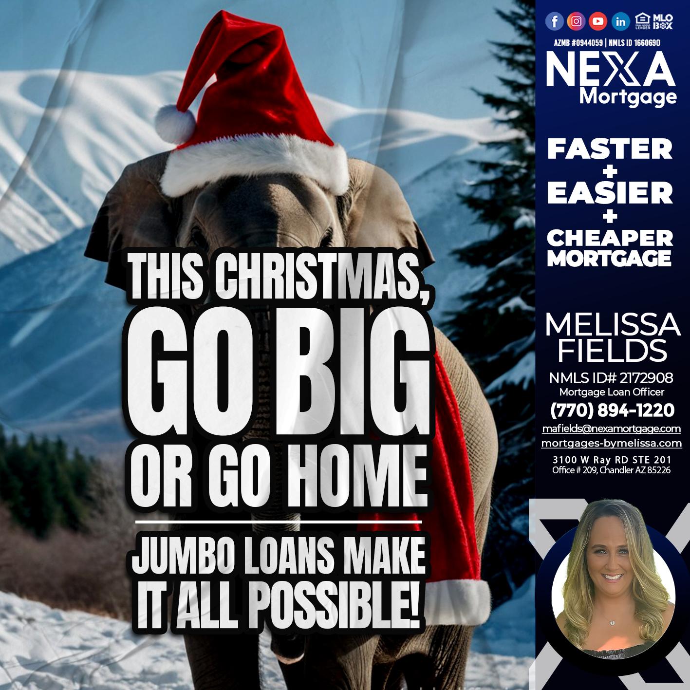 GO BIG - Melissa Fields -Mortgage Loan Officer
