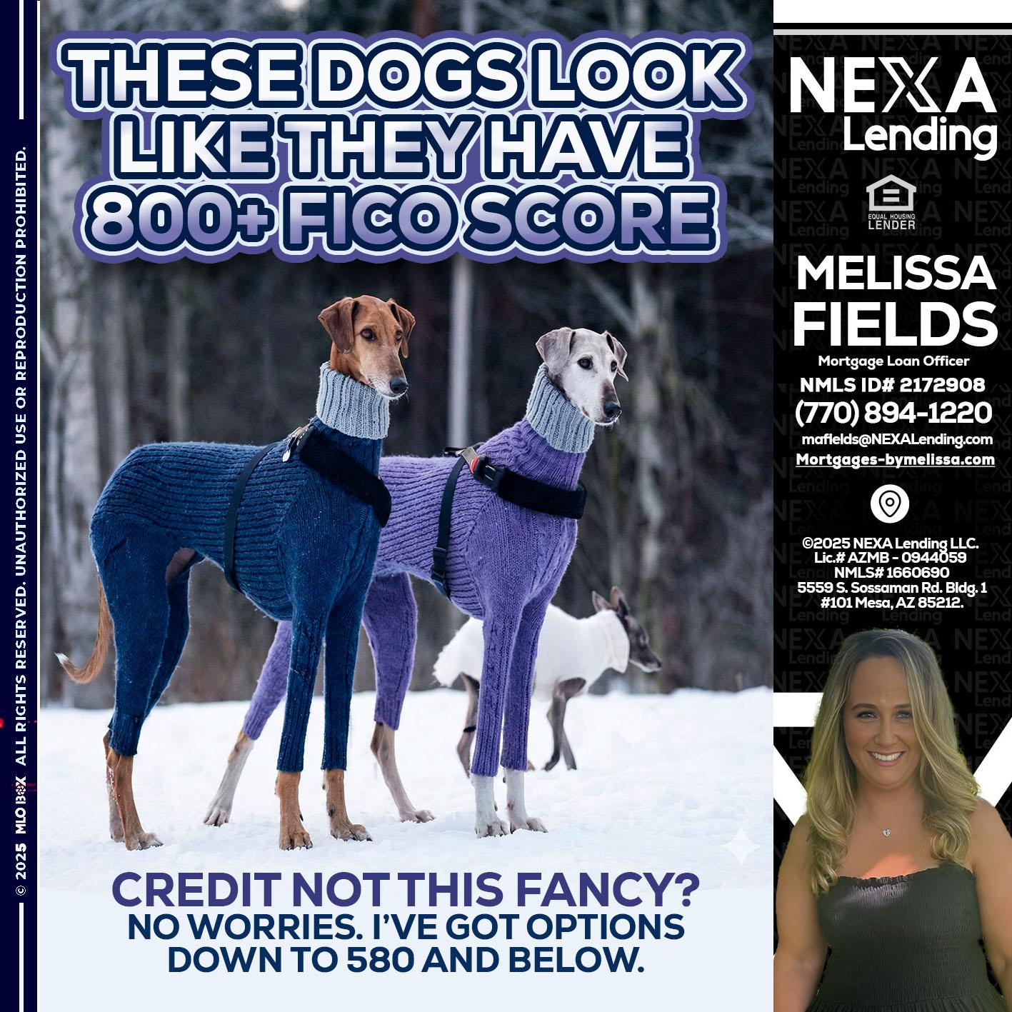 THESE DOGS LOOK - Melissa Fields -Mortgage Loan Officer